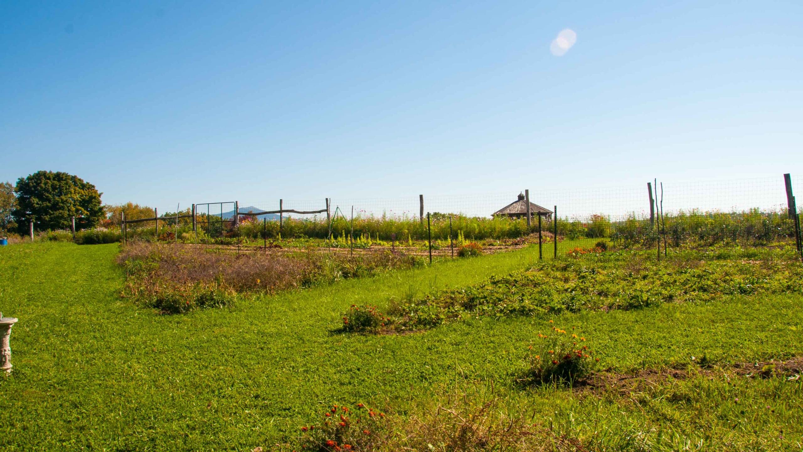 A view of the camp glen brook garden.