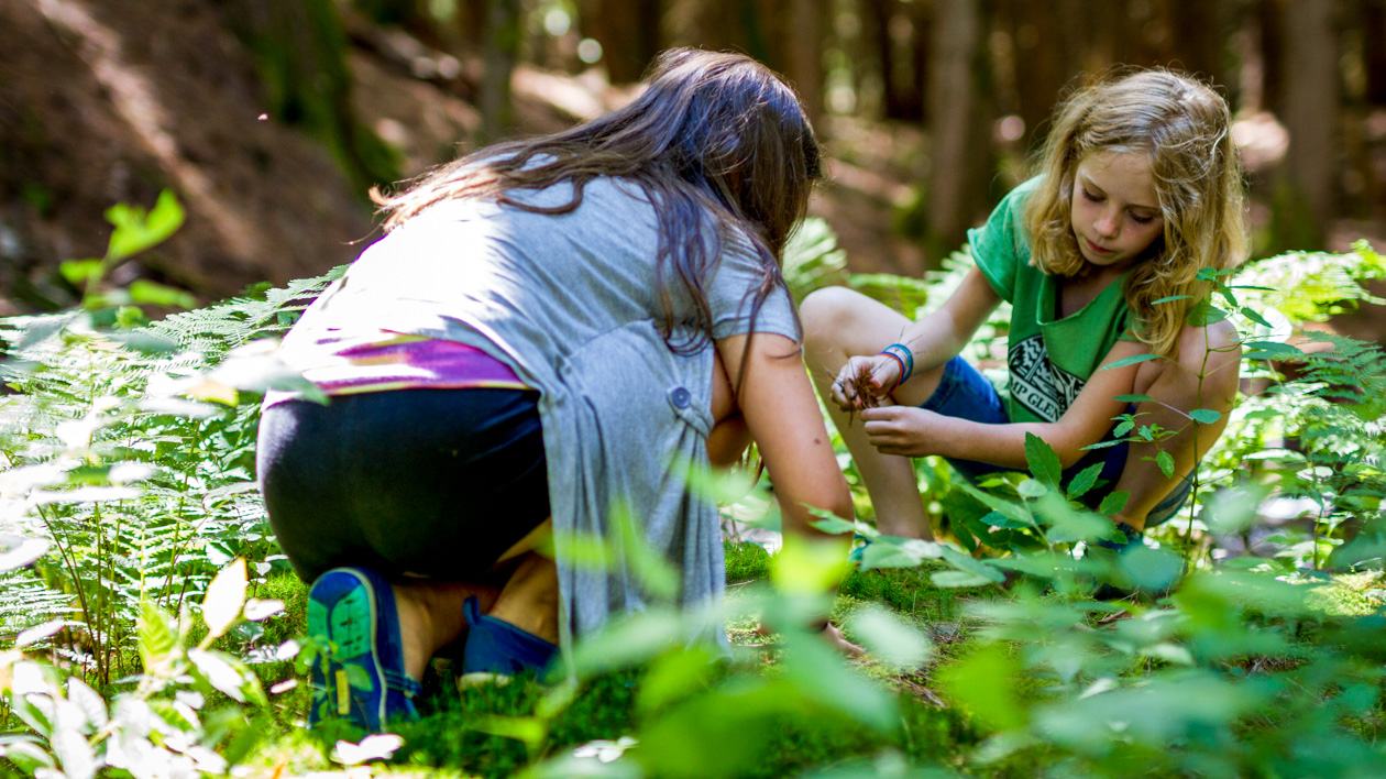 Campers examining the forest plants.