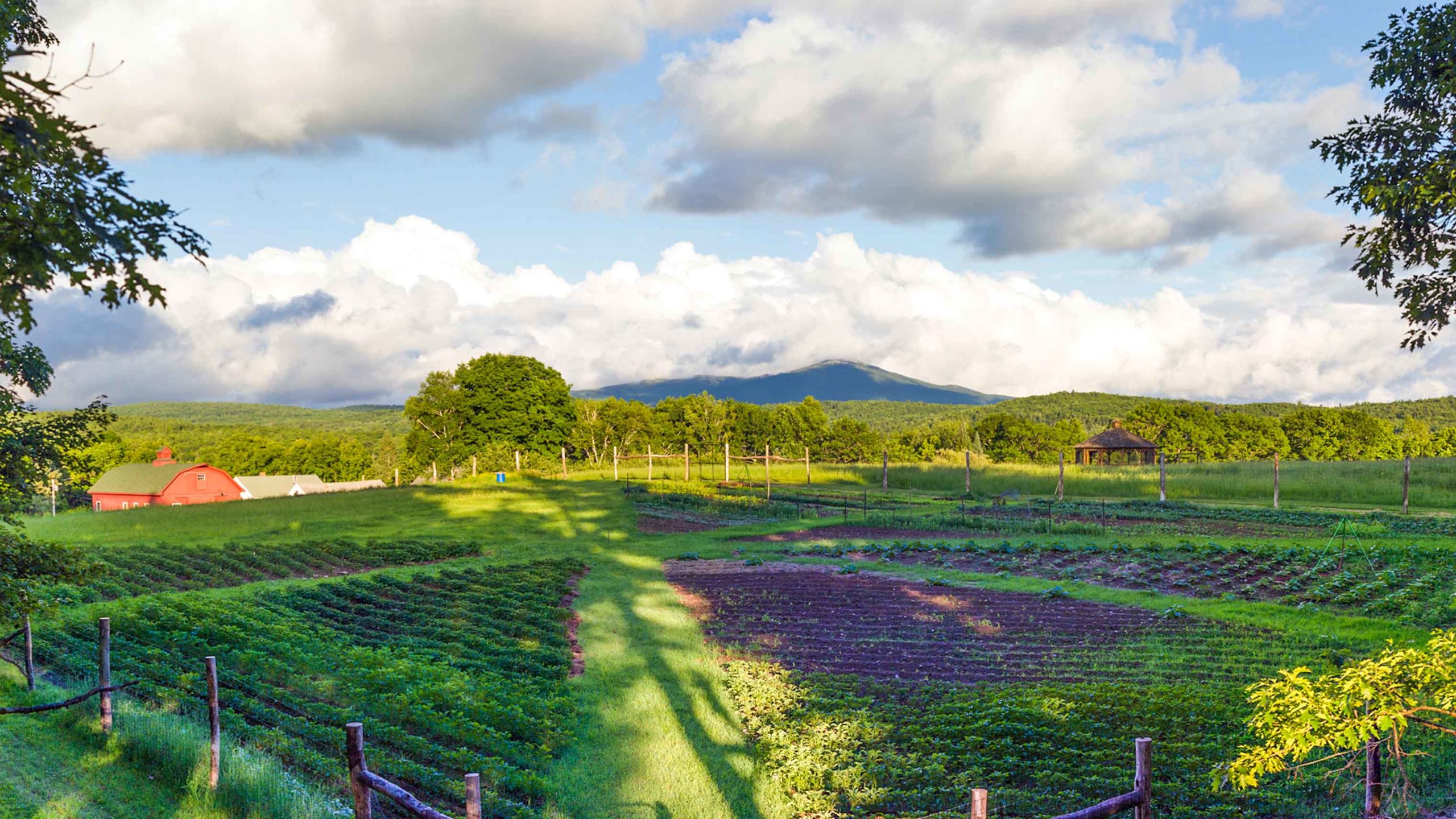 A view of the farming plots on glen brook's campus