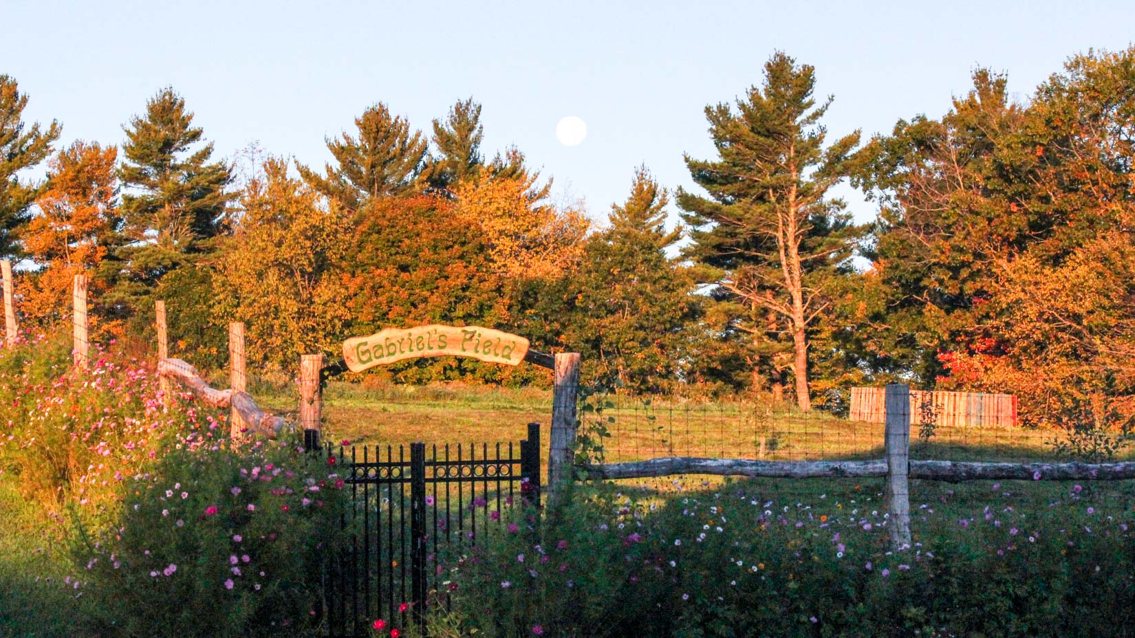 Gabriel's field at sunset, a garden at camp glen brook.