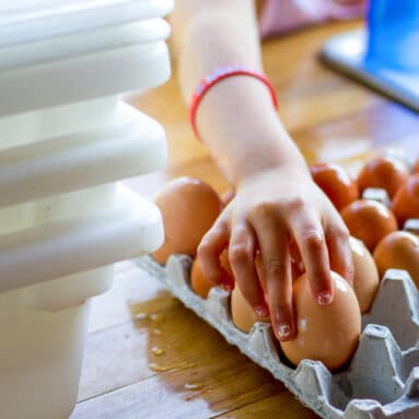 A camper putting eggs in a carton.