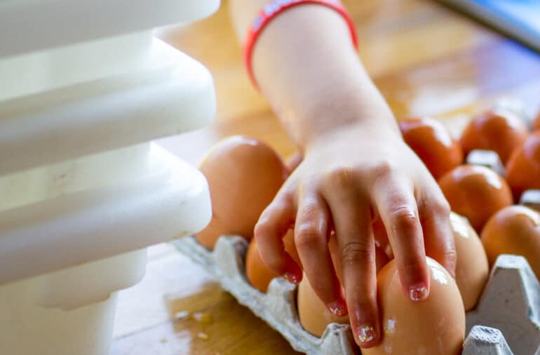 A camper putting eggs in a carton.
