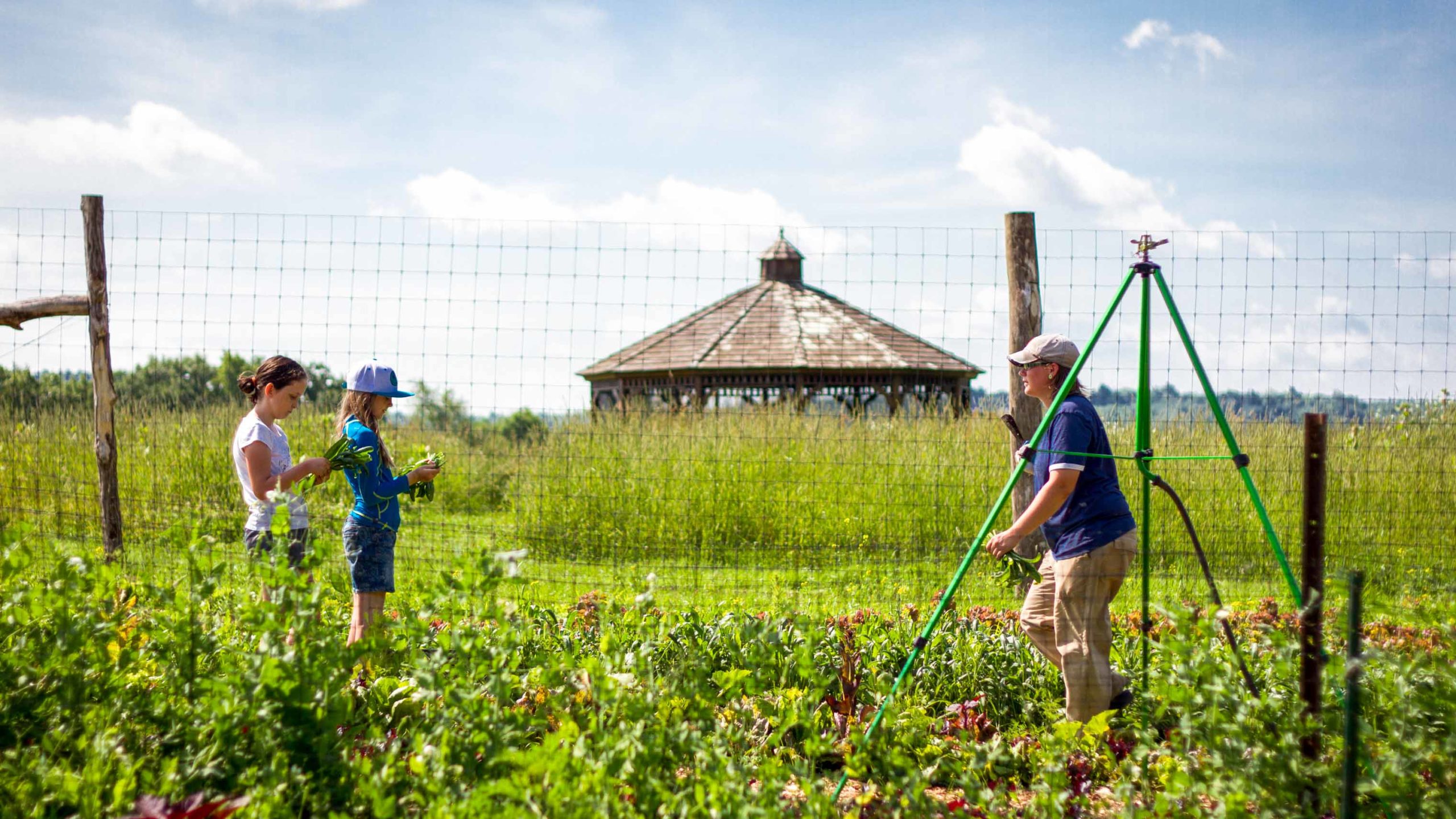 Campers working on farming in the garden