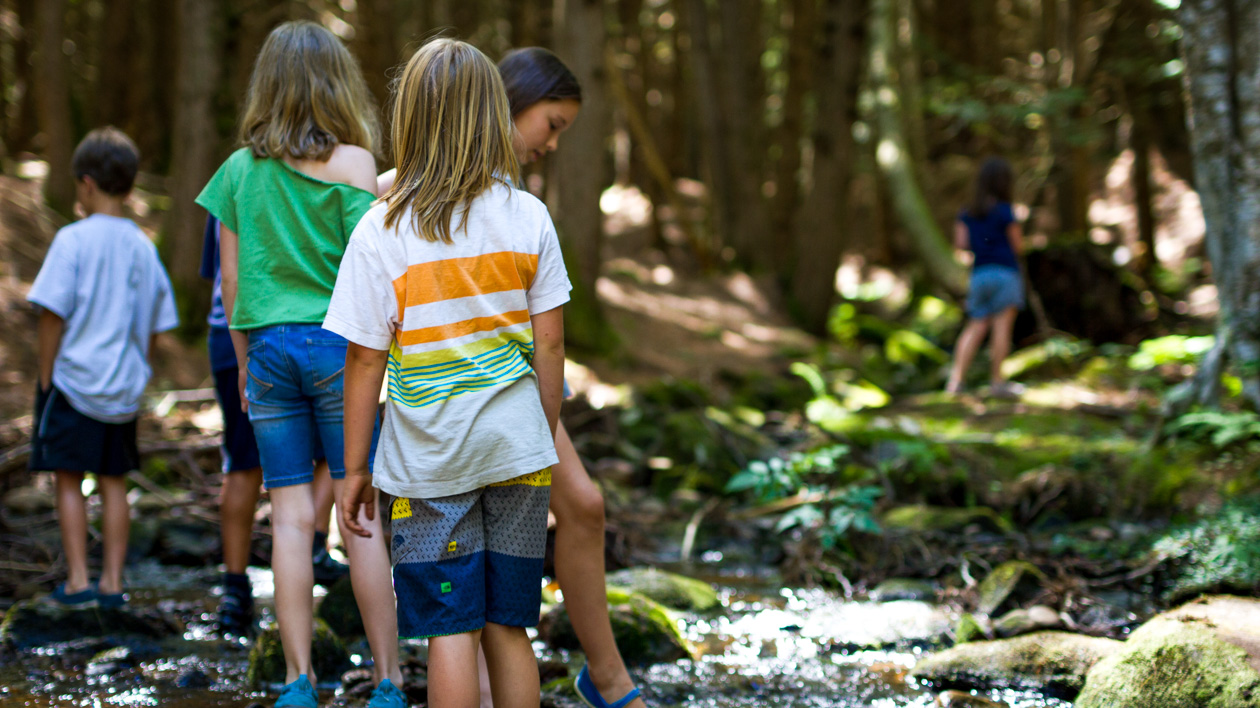 Campers walking through the woods looking at nature