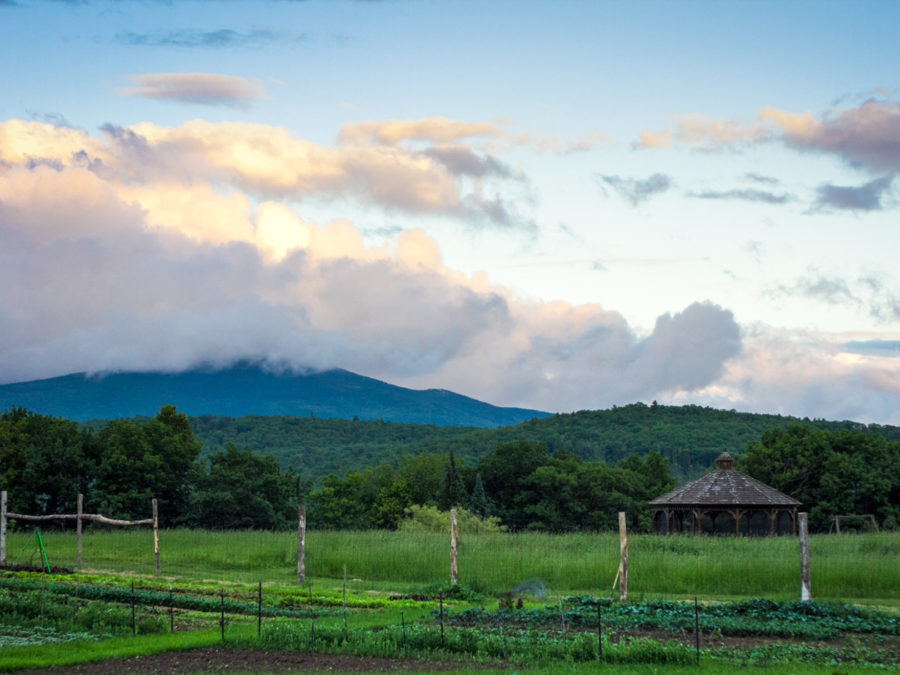 A view of the camp in the early morning