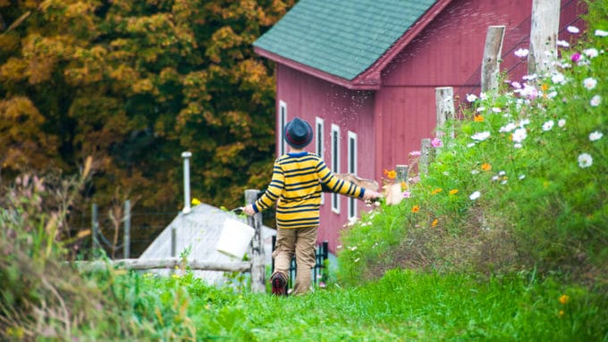 A camper walking down a green walkway watering plants