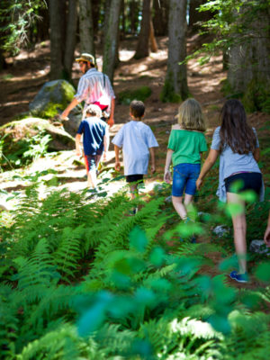 Campers walking through the woods during the summer.